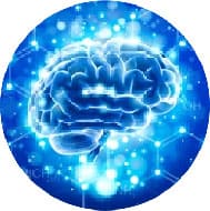 Elevates energizing brain chemicals