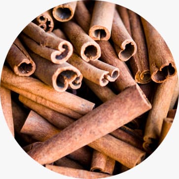 Cinnamon Essential Oil