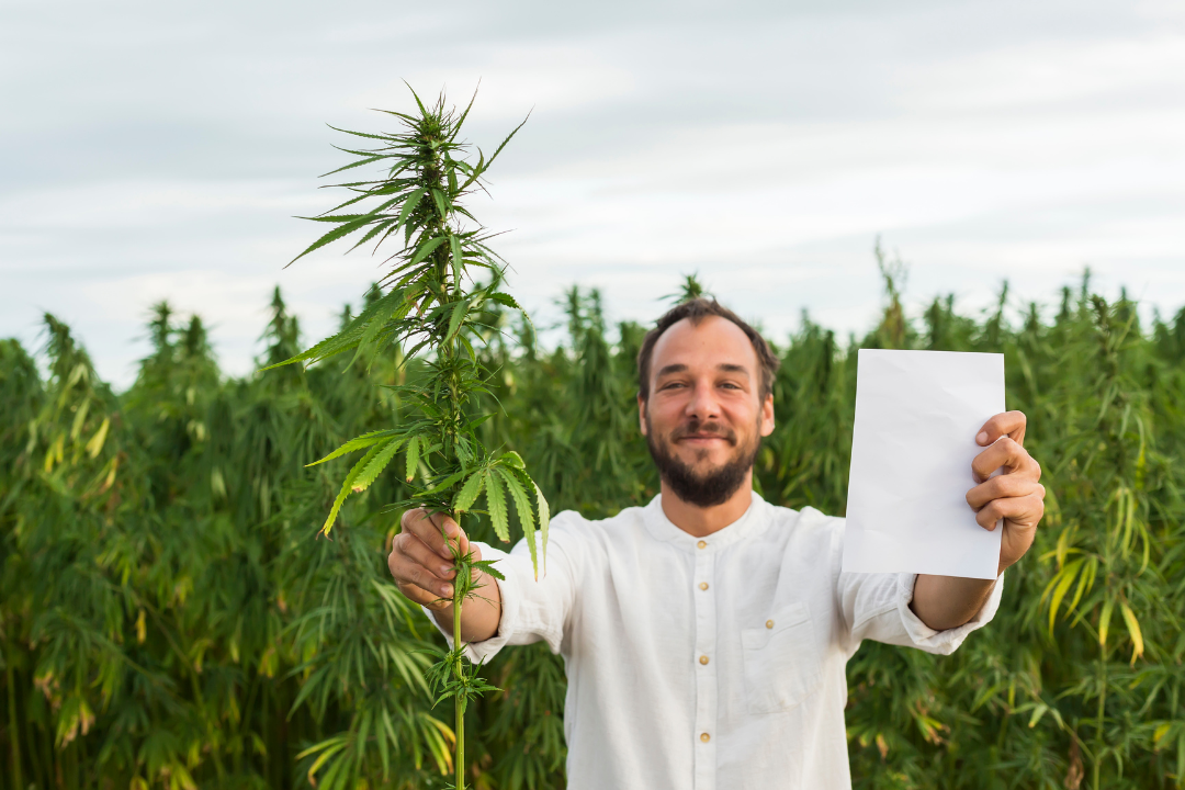 The Benefits Of Hemp Paper - Somaleaf Whole Body Health