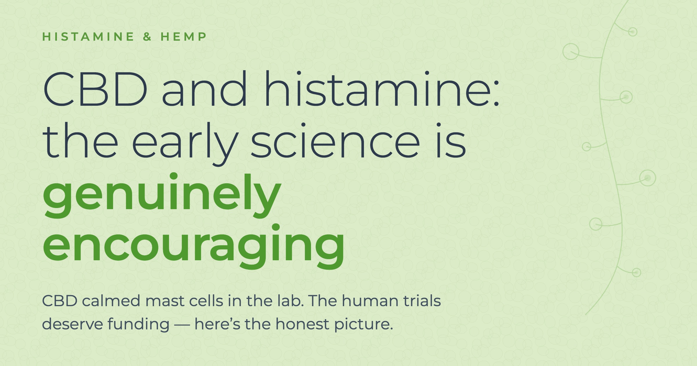 CBD and histamine: what the research actually shows — SomaLeaf article header